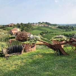 Venezia: tour delle cantine vinicole delle colline del Prosecco con degustazioni e pranzo