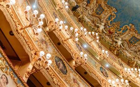 Il maestoso Teatro La Fenice: Tour guidato a Venezia