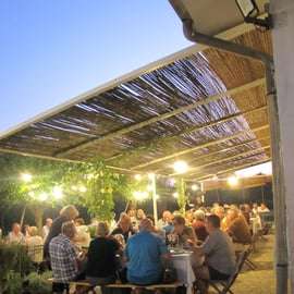 Gita alle colline del Prosecco da Venezia con cantina