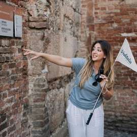 Da Venezia: Verona, Sirmione e il Lago di Garda con crociera in barca