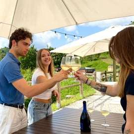 Gita alle colline del Prosecco da Venezia con cantina
