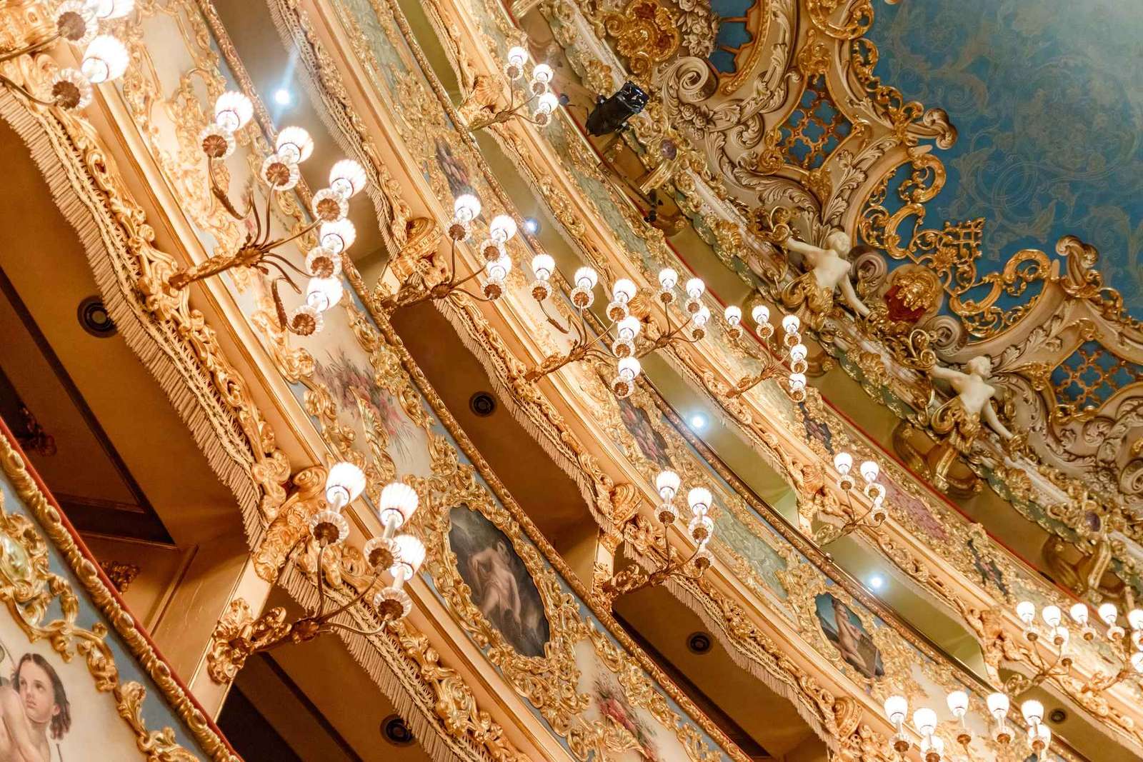 Il maestoso Teatro La Fenice: Tour guidato a Venezia