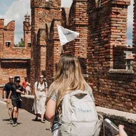 Da Venezia: Verona, Sirmione e il Lago di Garda con crociera in barca
