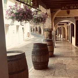 Tour delle colline del Prosecco con Asolo da Venezia