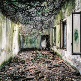 Tour all'isola di Poveglia in barca privata