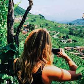 Venezia: tour delle cantine vinicole delle colline del Prosecco con degustazioni e pranzo