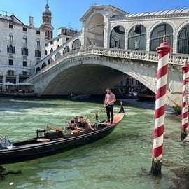 Venezia: Tour panoramico con una guida locale