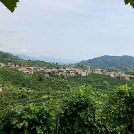 Venezia: tour delle cantine vinicole delle colline del Prosecco con degustazioni e pranzo