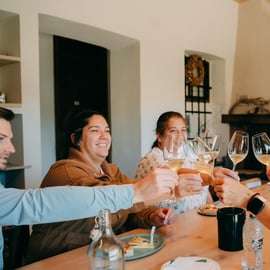 Da Venezia: Tour delle colline del Prosecco e degustazione di vini